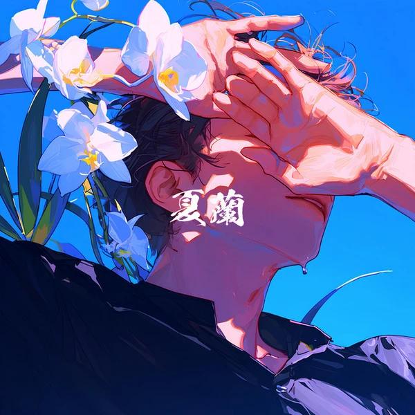 album